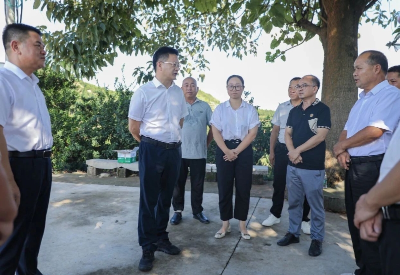 葉峰調(diào)研南豐蜜桔產(chǎn)業(yè)高質(zhì)量發(fā)展